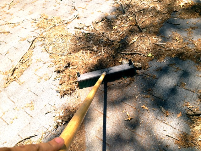 remove loose debris with soft bristle broom